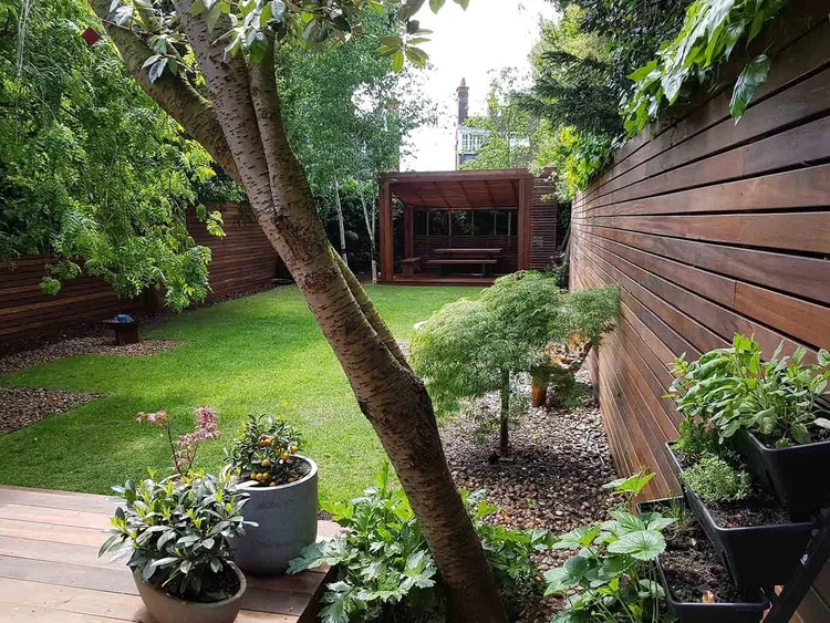 Beautiful Garden Landscape